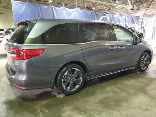 2024 Honda Odyssey Elite