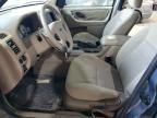 2005 Ford Escape XLT