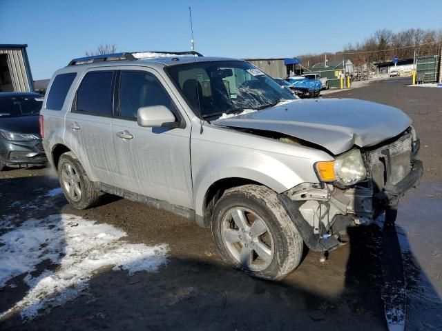 2009 Ford Escape Limited