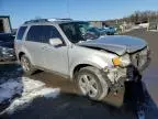 2009 Ford Escape Limited