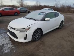 Salvage cars for sale at Montreal Est, QC auction: 2014 Scion TC