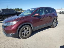 Salvage cars for sale at Harleyville, SC auction: 2019 Honda CR-V EXL