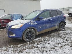 2015 Ford Escape SE en venta en Portland, MI