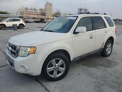 Salvage cars for sale at New Orleans, LA auction: 2012 Ford Escape Limited