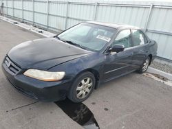 Honda salvage cars for sale: 2001 Honda Accord EX