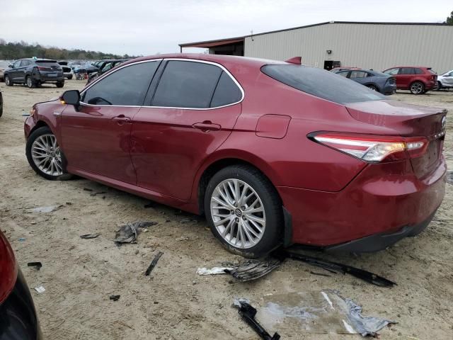 2019 Toyota Camry Hybrid