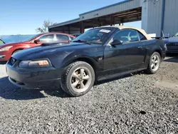 Salvage cars for sale at Riverview, FL auction: 2002 Ford Mustang GT