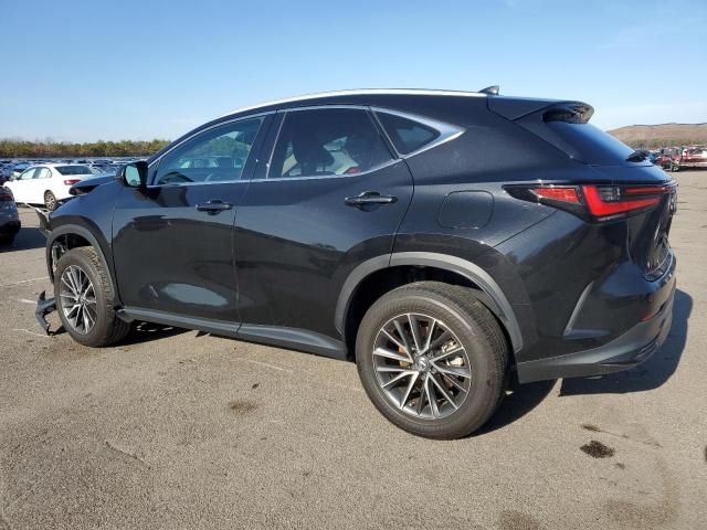 2023 Lexus NX 350