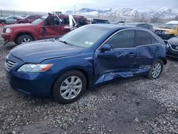 2008 Toyota Camry Hybrid en venta en Magna, UT