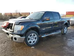 Ford salvage cars for sale: 2013 Ford F150 Supercrew