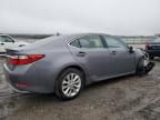 2013 Lexus ES 300H