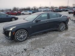 Salvage cars for sale at Columbus, OH auction: 2021 Cadillac CT5 Premium Luxury