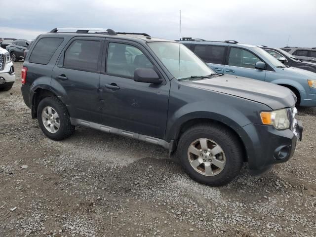 2009 Ford Escape Limited