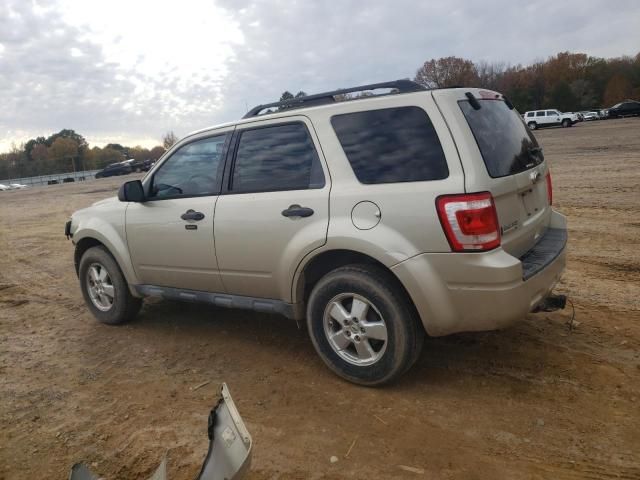 2010 Ford Escape XLT