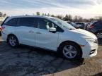 2019 Honda Odyssey EXL