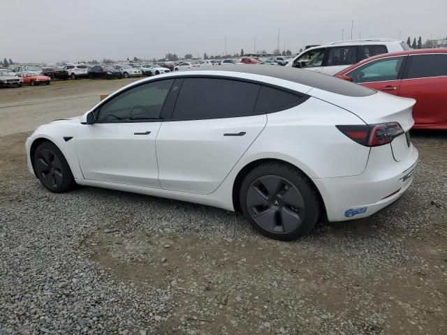 2021 Tesla Model 3