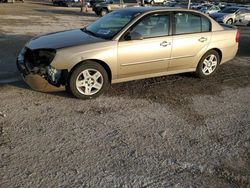 2007 Chevrolet Malibu LT en venta en Indianapolis, IN