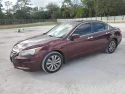 Salvage cars for sale at Fort Pierce, FL auction: 2011 Honda Accord EXL