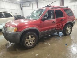 2003 Ford Escape XLT en venta en Franklin, WI