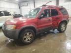 2003 Ford Escape XLT