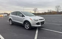 Salvage cars for sale from Copart Grantville, PA: 2016 Ford Escape SE