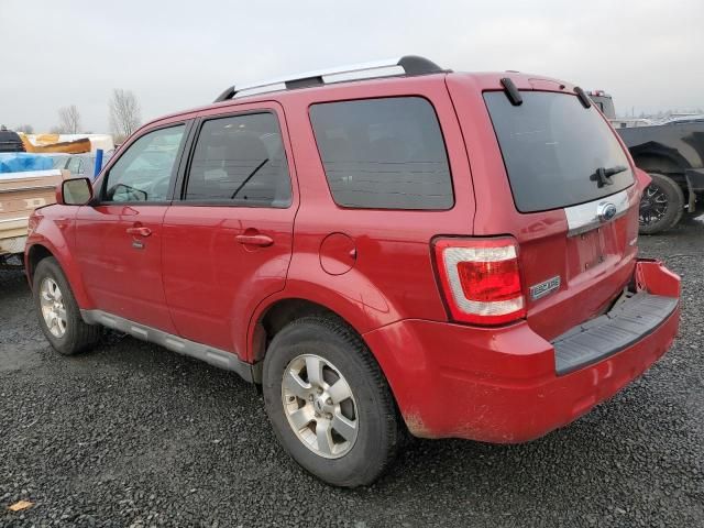 2009 Ford Escape Limited