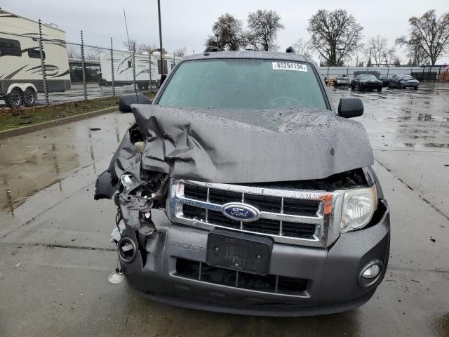 2012 Ford Escape XLT