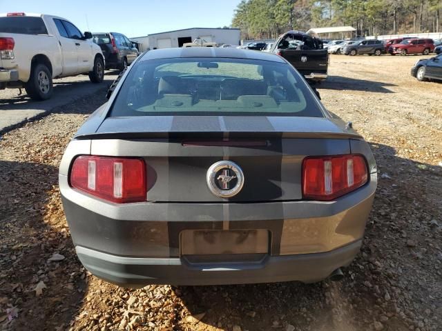 2010 Ford Mustang