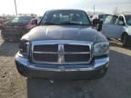 2005 Dodge Dakota SLT