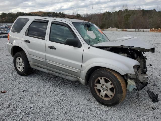 2007 Ford Escape XLT