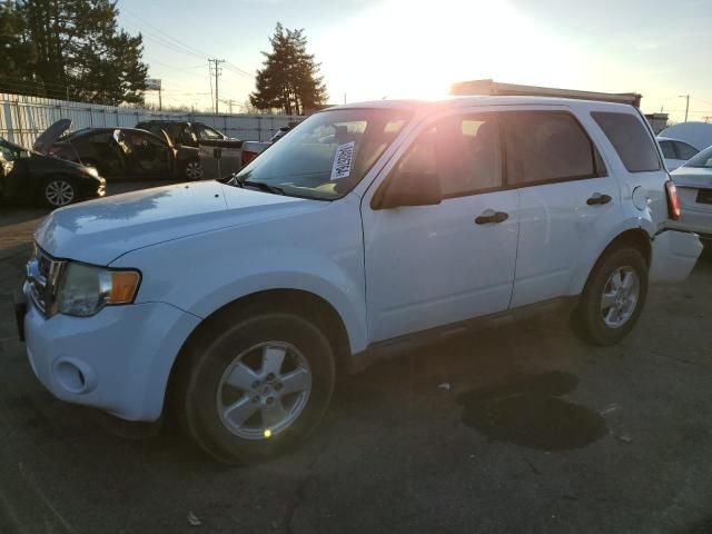 2011 Ford Escape XLS