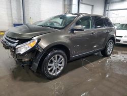 Salvage cars for sale at Ham Lake, MN auction: 2011 Ford Edge Limited