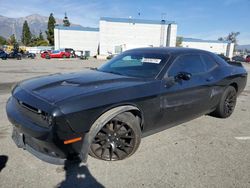 Salvage cars for sale at Rancho Cucamonga, CA auction: 2016 Dodge Challenger SXT