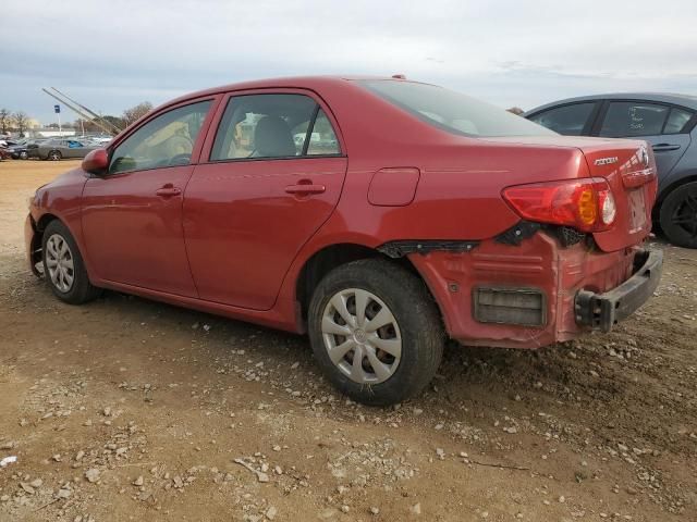 2010 Toyota Corolla Base