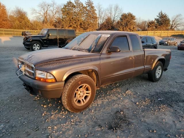 2004 Dodge Dakota SXT