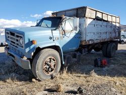 GMC Vehiculos salvage en venta: 1982 GMC C7000 C7D042