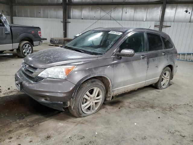 2010 Honda CR-V EXL