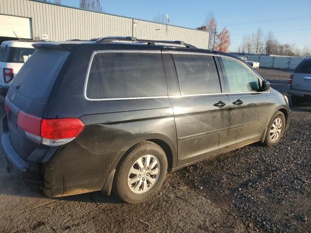 2010 Honda Odyssey EXL