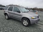 2007 Ford Escape HEV