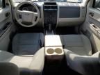 2011 Ford Escape XLS