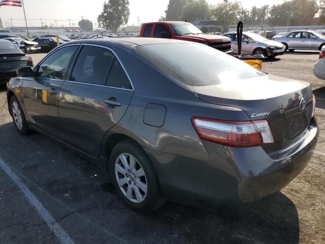 2008 Toyota Camry Hybrid