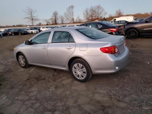 2010 Toyota Corolla Base