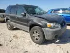 2005 Ford Escape XLT