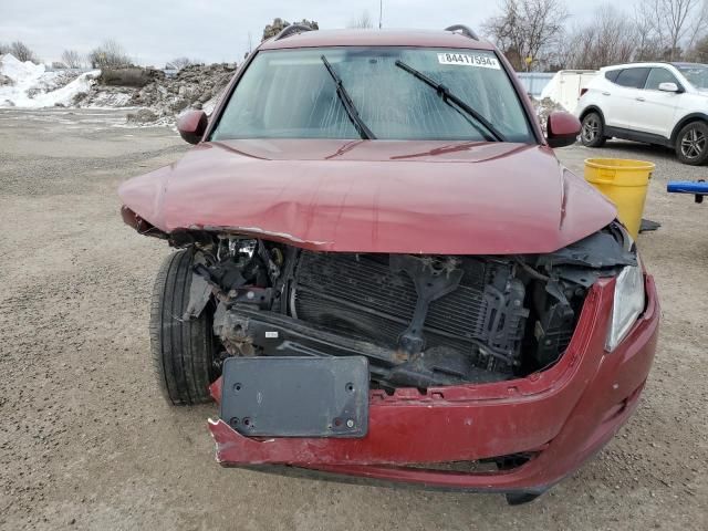 2010 Volkswagen Tiguan SE