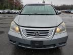 2008 Honda Odyssey EX