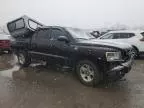 2009 Dodge Dakota SXT