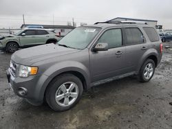 Salvage cars for sale from Copart Airway Heights, WA: 2012 Ford Escape Limited