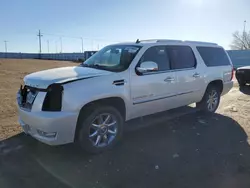 2009 Cadillac Escalade ESV Platinum en venta en Greenwood, NE