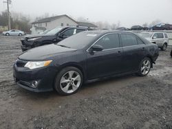 Salvage cars for sale at York Haven, PA auction: 2014 Toyota Camry L