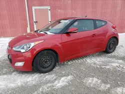 Salvage cars for sale at London, ON auction: 2015 Hyundai Veloster